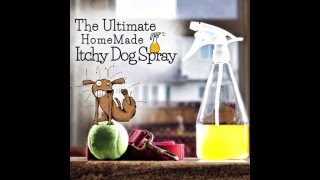 Itchy Dog Spray [upl. by Arotak178]