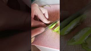 Slicing Green chili pepperplants asmr [upl. by Kiel339]