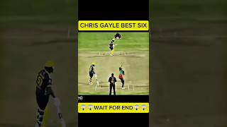 Chris gyle sixcricket ytshorts shortsfeed shorts [upl. by Aoket641]