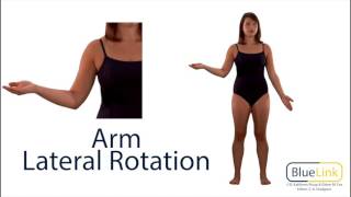 Arm Medial and Lateral Rotation [upl. by Tala952]