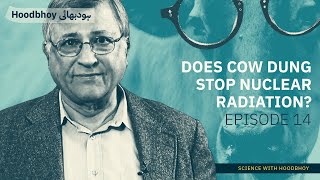 Does Cow Dung Stop Nuclear Radiation Dr Pervez Hoodbhoy [upl. by Shieh]