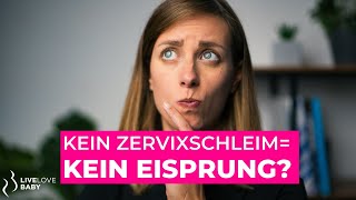 Kein Zervixschleim  kein Eisprung 😱 I Das solltest du wissen [upl. by Aznofla]