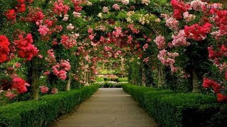 The Most Beautiful Gardens in Europe [upl. by Marguerite517]