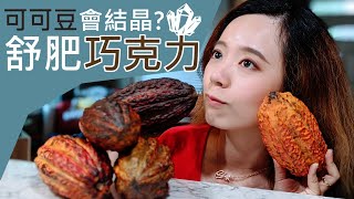 從可可豆做成巧克力手工挑戰巧克力調溫的科學？ [upl. by Anayi]