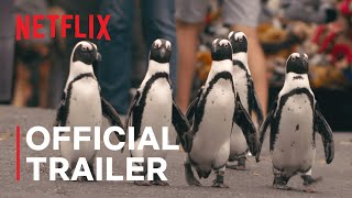 Penguin Town  Official Trailer  Netflix [upl. by Moreta35]