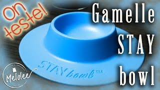 Test de la gamelle STAYbowl [upl. by Yrallih]