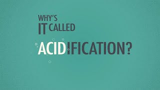 What is Ocean Acidification [upl. by Allicsirp986]