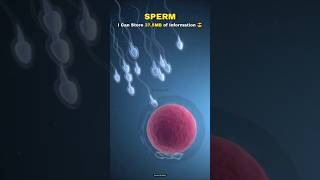 Human Sperm vs Human DNA 🧬🤫 shorts earth biology dna science [upl. by Rehposirhc]