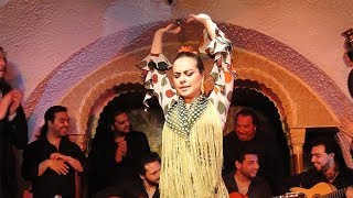 Flamenco Night at Tablao Cordobes in Barcelona Spain [upl. by Onil343]