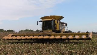 Caterpillar Lexion 570R Combine with a C516 16 Row Corn Head [upl. by Amarillas]