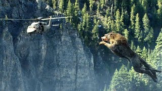 Giant Wolf Attack Scene  Wolf vs Helicopter  Rampage 2018 Movie Clip HD [upl. by Aramaj]