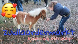 PAARDENmarkt Zuidlaren Zuidlaardermarkt 2022vlog64 [upl. by Nessah]