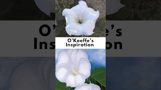 OKeeffes Inspiration [upl. by Mont]