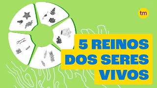 Conheça os 5 Reinos dos seres vivos [upl. by Ayerhs]