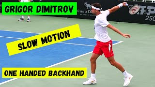 Grigor Dimitrov 🔥🎾 one handed backhand 🔥🎾 slow motion 🎾 ATP tennis 2023 🎾 [upl. by Barren13]