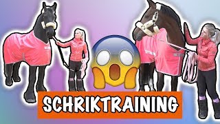 SCHRIK TRAINING MET EVE EN VITO  PaardenpraatTV [upl. by Garling242]