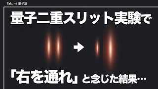 意識が現実を変えた？量子二重スリット実験と意識の関係を調べた研究 [upl. by Anirod950]