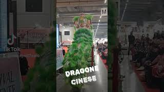 Dragone cinese alla fiera dellOriente [upl. by Krall]