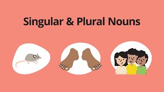 Singular amp Plural Nouns – English Grammar Lessons [upl. by English126]