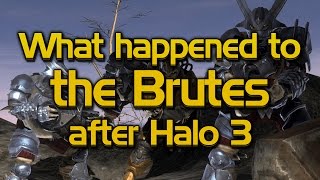 What happened to the Brutes after Halo 3 [upl. by Eelame]