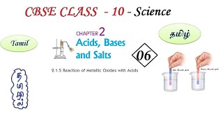 Acids Bases and Salts in Tamil  Part 06  Class 10 Science Chapter 2 Chemistry in Tamil CBSE [upl. by Farkas]