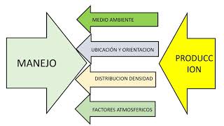 SISTEMA DE PRODUCCIÓN PECUARIO [upl. by Mordecai]