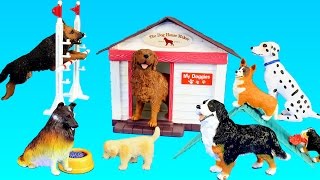 Toy Dogs School Playset For Kids  Learn Animal Names For Kids [upl. by Alwin]