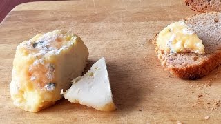 How to make cheese without rennet [upl. by Nalad]