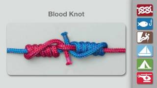 How to Tie a Blood Knot  Fishing Knots [upl. by Assenar151]