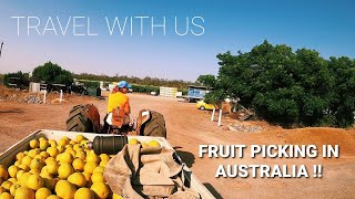 FARM WORK IN AUSTRALIA  From Sydney to Leeton NSW [upl. by Dragone]