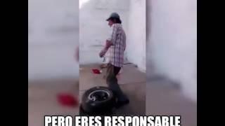 Videos chistosos de borrachos [upl. by Fawnia]