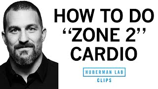 How amp Why to Get Weekly quotZone 2quot Cardio Workouts  Dr Andrew Huberman [upl. by Booze380]