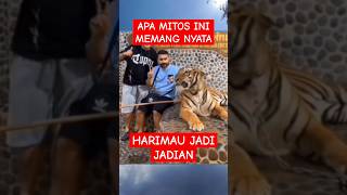 APA BENAR ADA HARIMAU JADI JADIAN hewan horrorstories singa harimau serem binatang [upl. by Kabab590]