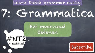 HET MEERVOUD DUTCH GRAMMAR NT2 learndutch grammatica nederlands staatsexamen fun inburgering [upl. by Theodor]