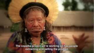 Kayapo Fund  English Version [upl. by Pippa]