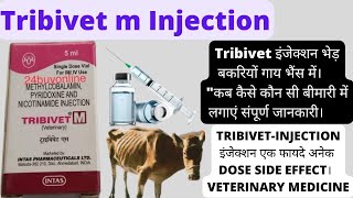 Injection Tribivet M  Tribivet m injection use in hindi  Intas [upl. by Etnahsa800]