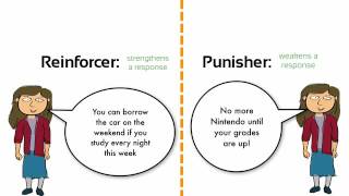 Learning Negative Reinforcement vs Punishment [upl. by Shushan]