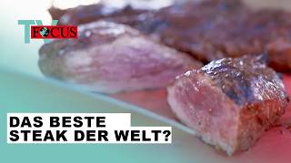 Wer grillt das beste Steak der Welt Die GrillWM in Stuttgart  Focus TV Reportage [upl. by Lordan]