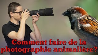 Comment faire de la photographie animalière  Techniques astuces conseils… [upl. by Eekaz573]