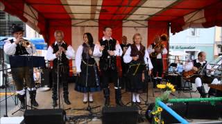 Die Hauskapelle Avsenik beim Stadtfest in Feldkirchen [upl. by Nnylorac]