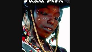 Fula Fulani Fulbe Pël Peul Fulaw music mix by DJ Ras Sjamaan [upl. by Anits]