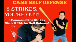 Cane Self Defense 3 Strikes You’re Out  3 Common Cane Strikes Made REAL for Self Defense [upl. by Barker]