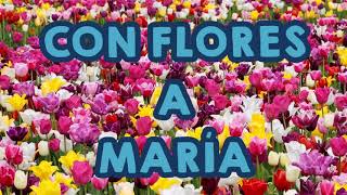 CON FLORES A MARÍA VENID Y VAMOS TODOS [upl. by Mathilde302]