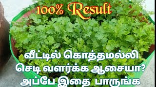 கொத்தமல்லி வேகமாக வளர இந்த டிப்ஸ் ட்ரை பண்ணுங்க 100 Result Gardeningtips [upl. by Orrin182]