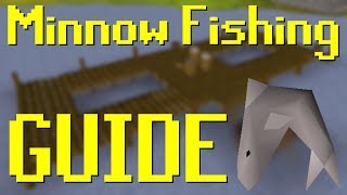 OSRS Minnow Fishing Guide [upl. by Regor103]