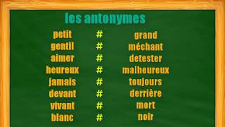 les antonymes  le contraire dun mot [upl. by Yarazed]