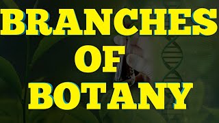 Branches of Botany With brief detail Branches of Biology  NCERT 11 Biology [upl. by Lorrac]