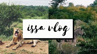 VLOG My 1st Media Trip  Makalali Private Game Reserve [upl. by Holofernes]