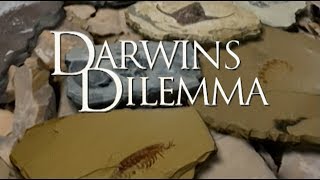 Darwins Dilemma  German [upl. by Acisset]