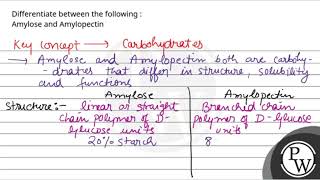 Differentiate between the following Amylose and Amylopectin [upl. by Acinorrev]